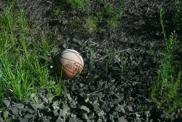 Discoloured basketball on top of rocks. Green bush growing between the rocks.