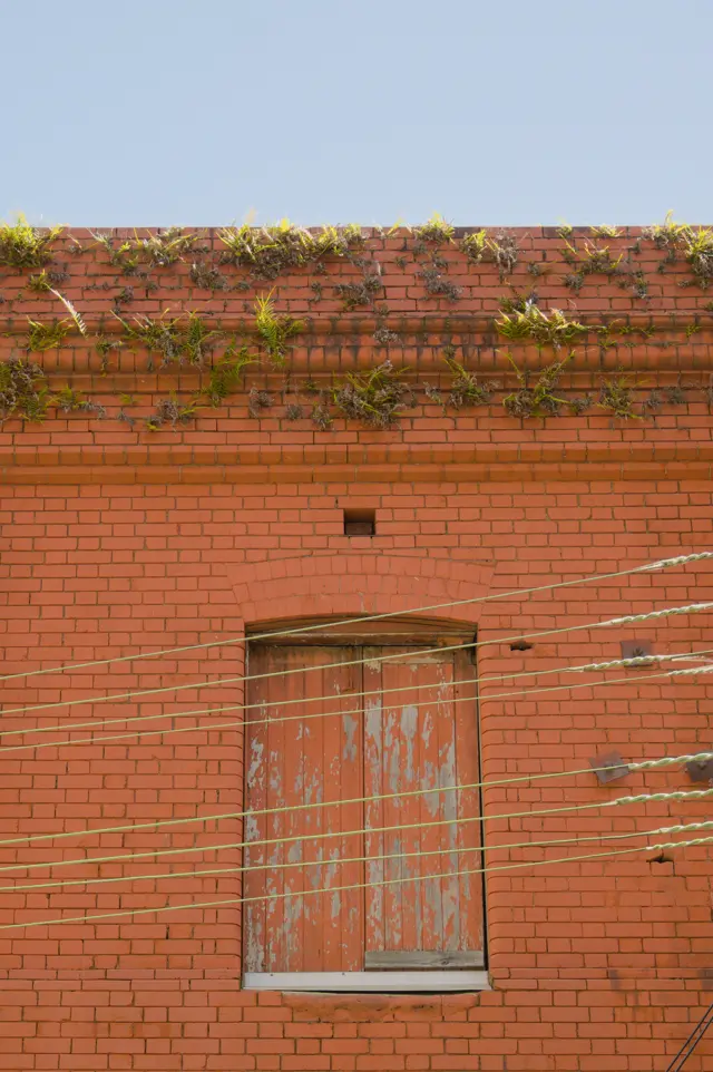 Orange tiles facade with orange window. The paint is coming off on the window, revealing the wood underneath. There are power lines going across the window in the foreground. There are little plants growing between the tiles up top the facade, atop the window.