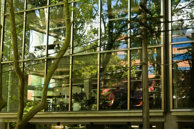 Office windows reflecting other buildings and trees, ending in an spectacle of blue, pink and green.